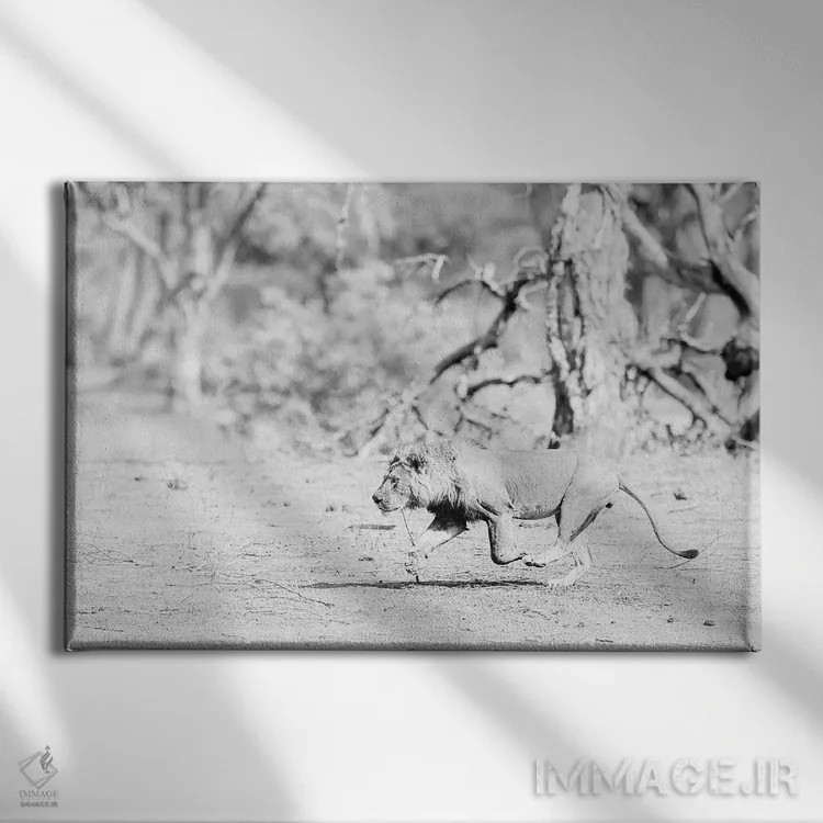 تابلو زمان ناهار اثر دیوید وولَن - نمای روبهرو روی دیوار