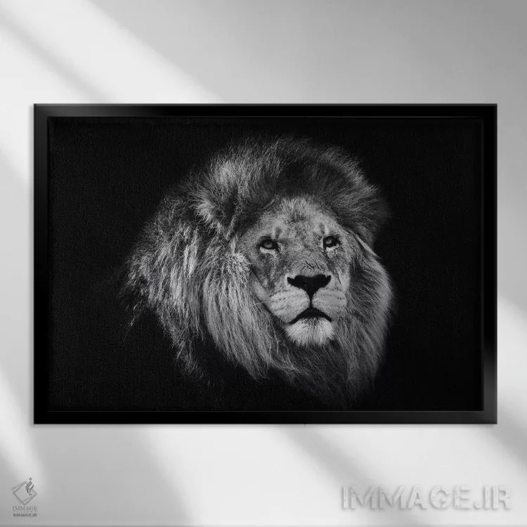 تابلو شیر آفریقایی در سیاه و سفید اثر دیوید وولَن - نمای قابدار مشکی