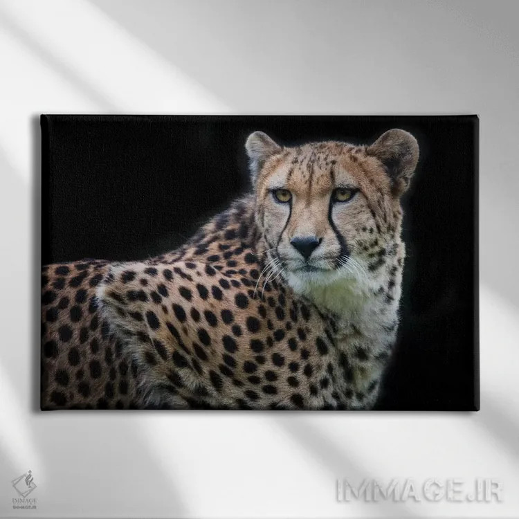 تابلو کولیندا رنگی اثر دیوید وولَن - نمای روبهرو روی دیوار