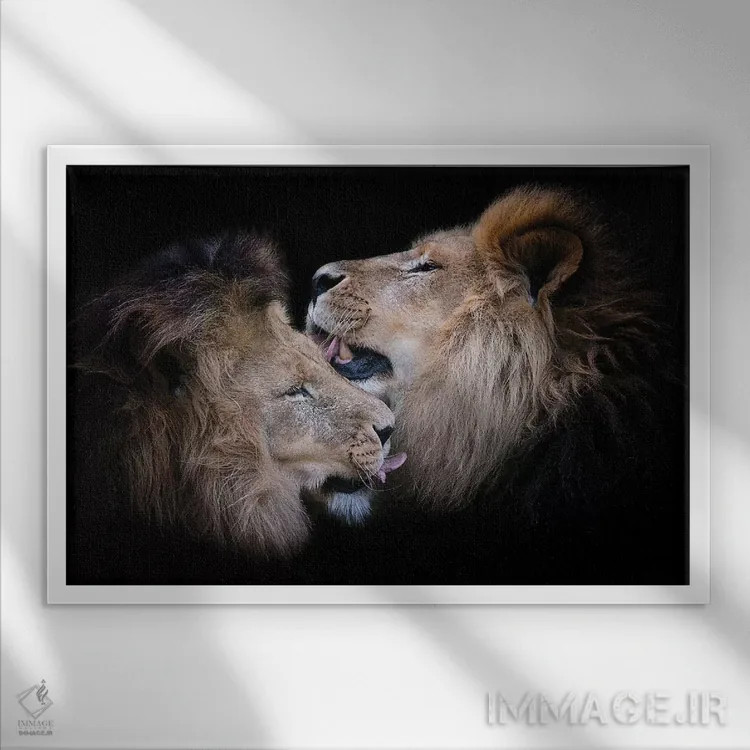 تابلو زمان حمام اثر دیوید وولَن - نمای قابدار سفید