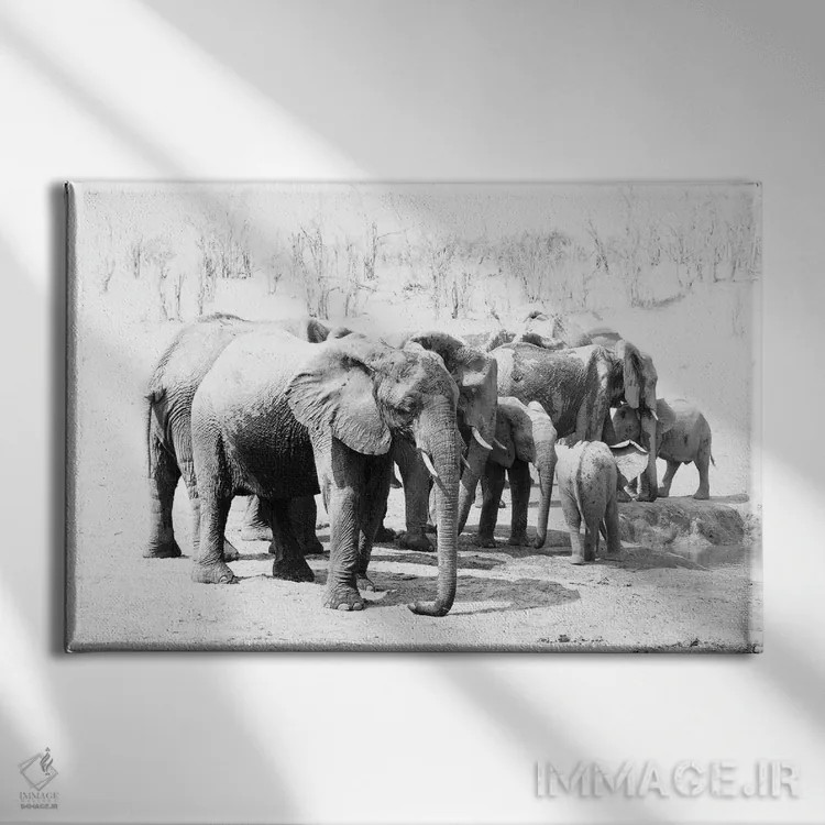 تابلو فیلهای هوانگه (پارک ملی زیمبابوه) اثر دیوید وولَن - نمای روبهرو روی دیوار