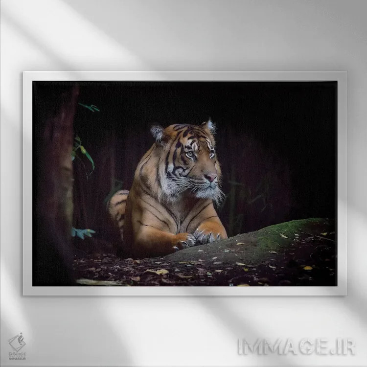 تابلو هوتان 1 (واژه اندونزیایی به معنی "جنگل"؛ یا نام خاص) اثر دیوید وولَن - نمای قابدار سفید