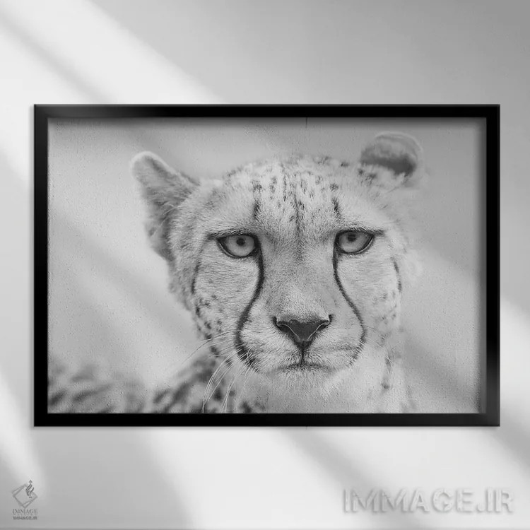 تابلو کولیندا (نام حیوان یا فرد) اثر دیوید وولَن - نمای قابدار مشکی