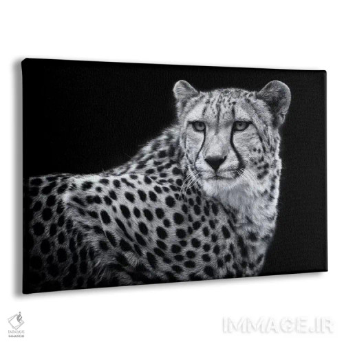 تابلو کولیندا در سیاه و سفید اثر دیوید وولَن - نمای پرسپکتیو محصول