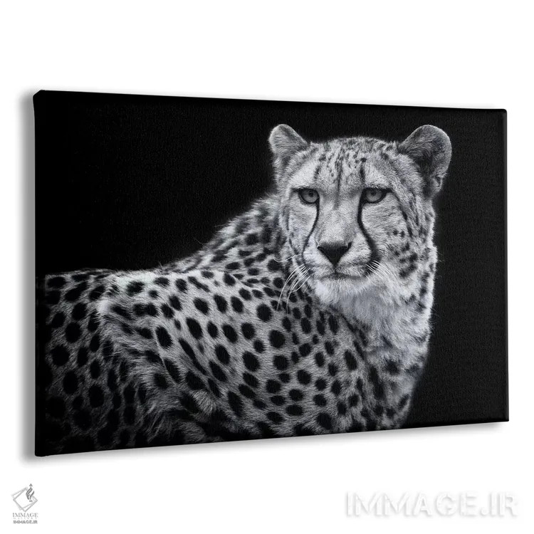 تابلو کولیندا در سیاه و سفید اثر دیوید وولَن - نمای پرسپکتیو محصول