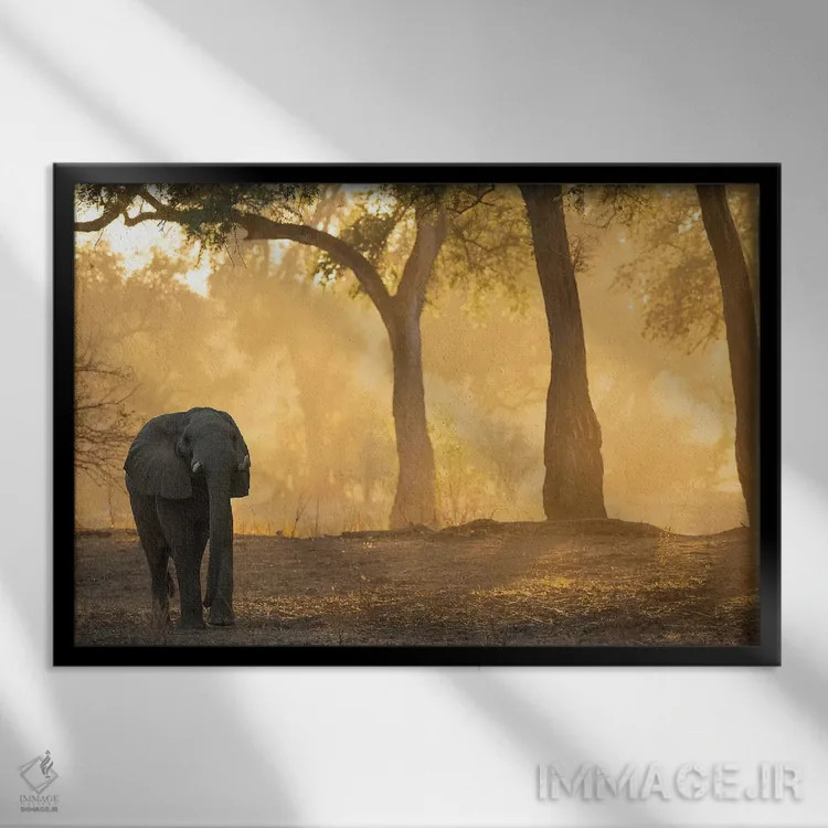 تابلو فیل مانا پولز (پارک ملی زیمبابوه) اثر دیوید وولَن - نمای قابدار مشکی