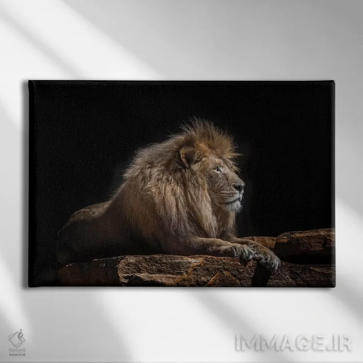 تابلو لازاروس (اسم خاص) اثر دیوید وولَن - نمای روبهرو روی دیوار