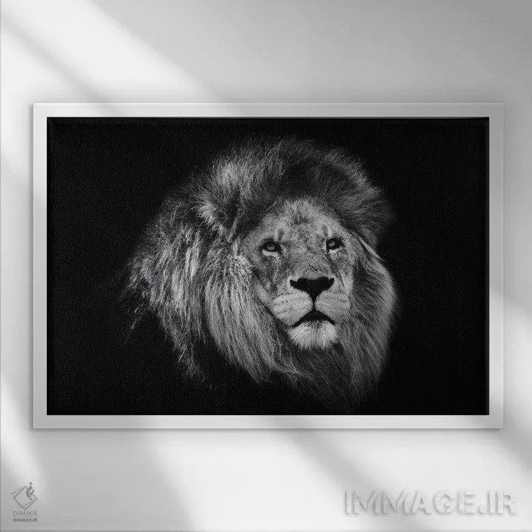 تابلو شیر آفریقایی در سیاه و سفید اثر دیوید وولَن - نمای قابدار سفید