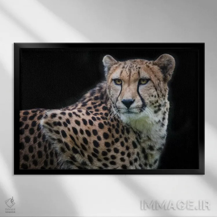 تابلو کولیندا رنگی اثر دیوید وولَن - نمای قابدار مشکی