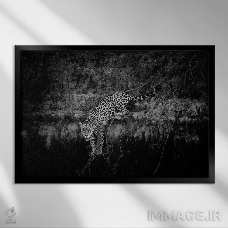 تابلو جاگوار بر صخره اثر دیوید وولَن - نمای قابدار مشکی