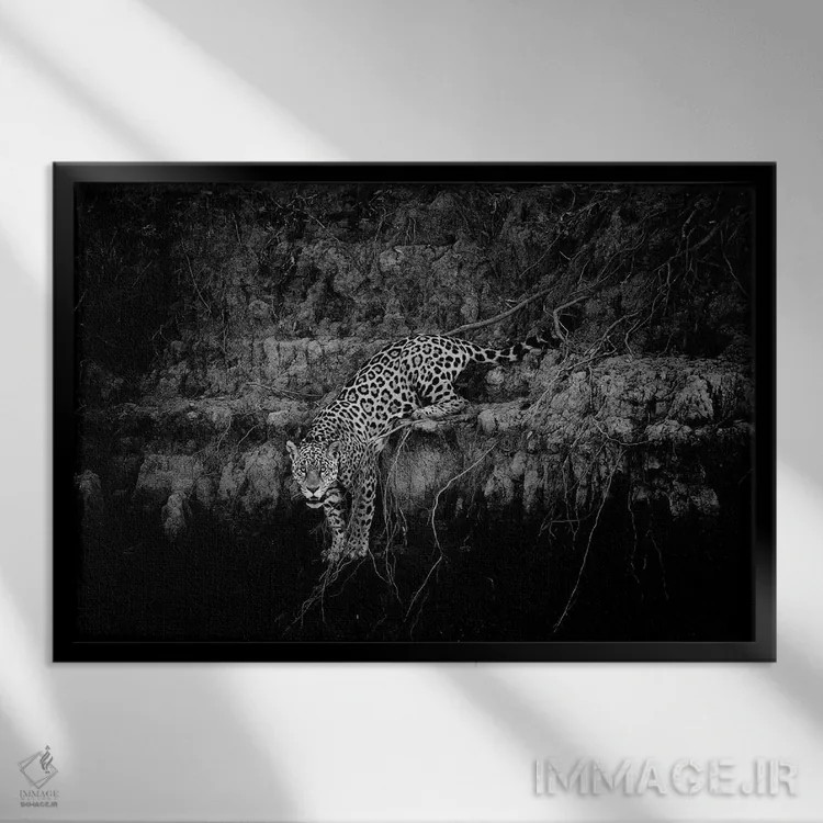 تابلو جاگوار بر صخره اثر دیوید وولَن - نمای قابدار مشکی