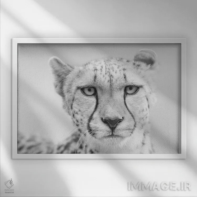 تابلو کولیندا (نام حیوان یا فرد) اثر دیوید وولَن - نمای قابدار سفید