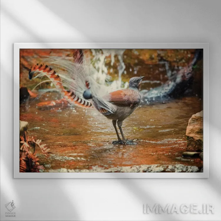 تابلو لیربرد (پرنده لیرا) اثر دیوید وولَن - نمای قابدار سفید