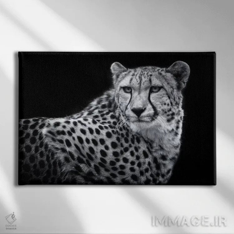 تابلو کولیندا در سیاه و سفید اثر دیوید وولَن - نمای روبهرو روی دیوار