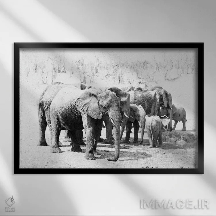 تابلو فیلهای هوانگه (پارک ملی زیمبابوه) اثر دیوید وولَن - نمای قابدار مشکی