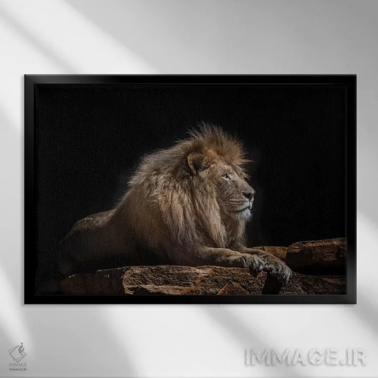 تابلو لازاروس (اسم خاص) اثر دیوید وولَن - نمای قابدار مشکی