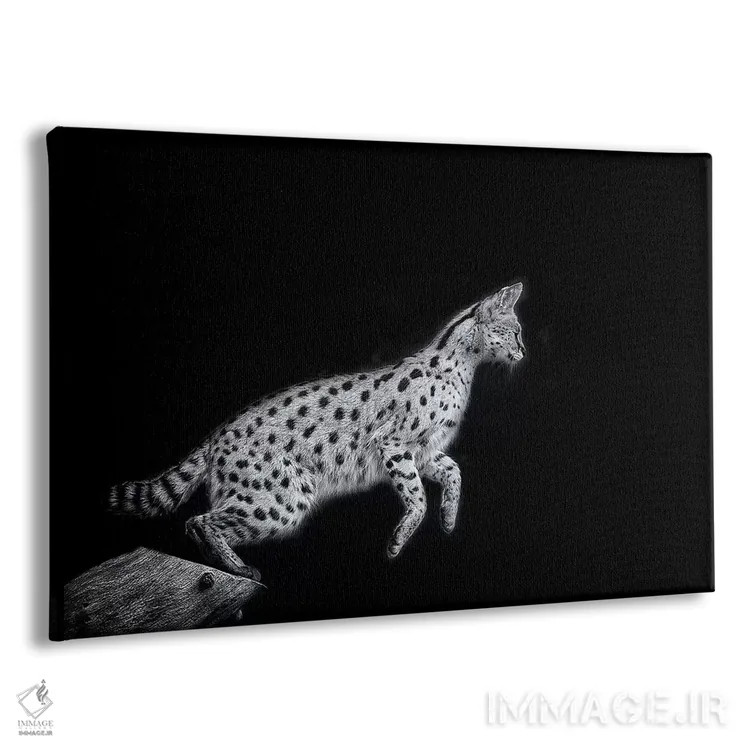 تابلو نانکی در سیاه و سفید اثر دیوید وولَن - نمای پرسپکتیو محصول