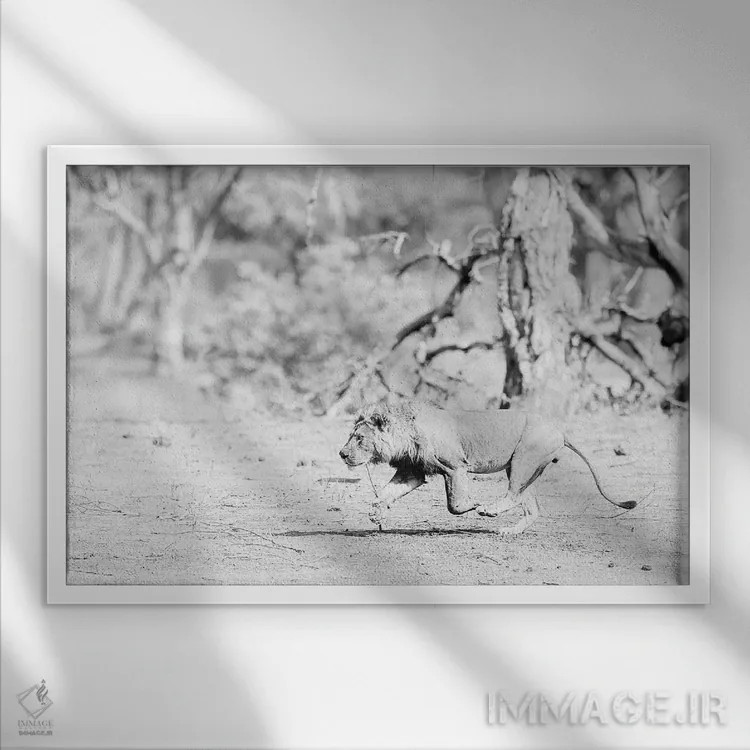 تابلو زمان ناهار اثر دیوید وولَن - نمای قابدار سفید