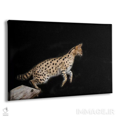 تابلو نانکی رنگی اثر دیوید وولَن - نمای پرسپکتیو محصول