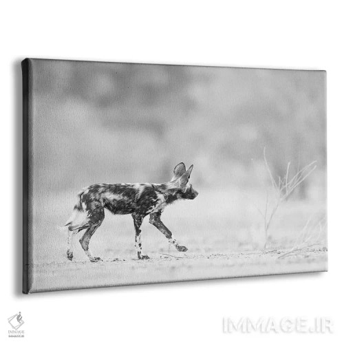 تابلو توله سگ نقاشی شده (سگ وحشی آفریقایی) اثر دیوید وولَن - نمای پرسپکتیو محصول
