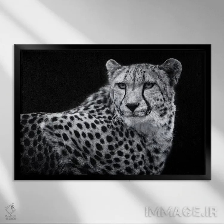 تابلو کولیندا در سیاه و سفید اثر دیوید وولَن - نمای قابدار مشکی