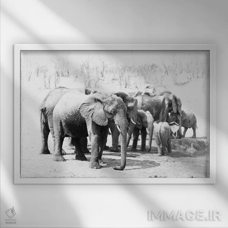 تابلو فیلهای هوانگه (پارک ملی زیمبابوه) اثر دیوید وولَن - نمای قابدار سفید