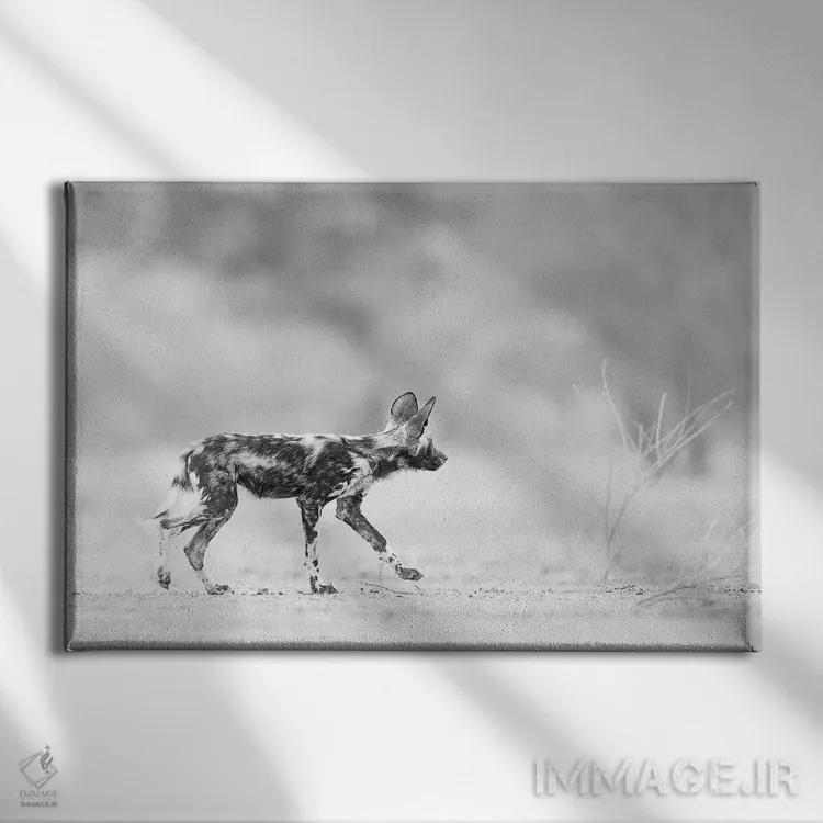 تابلو توله سگ نقاشی شده (سگ وحشی آفریقایی) اثر دیوید وولَن - نمای روبهرو روی دیوار
