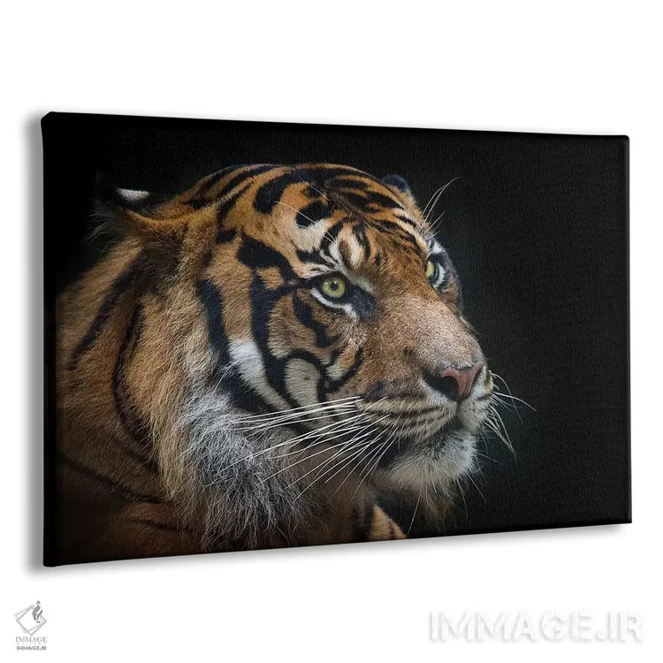 تابلو ببر سوماترایی اثر دیوید وولَن - نمای پرسپکتیو محصول