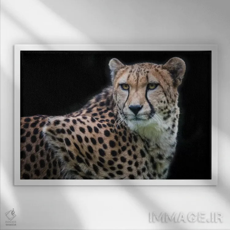 تابلو کولیندا رنگی اثر دیوید وولَن - نمای قابدار سفید