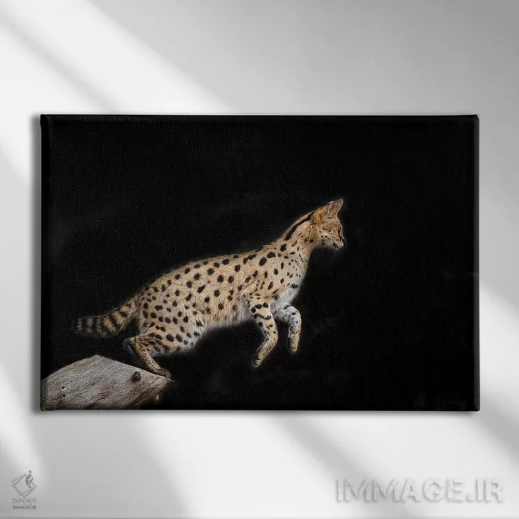 تابلو نانکی رنگی اثر دیوید وولَن - نمای روبهرو روی دیوار