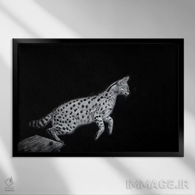 تابلو نانکی در سیاه و سفید اثر دیوید وولَن - نمای قابدار مشکی