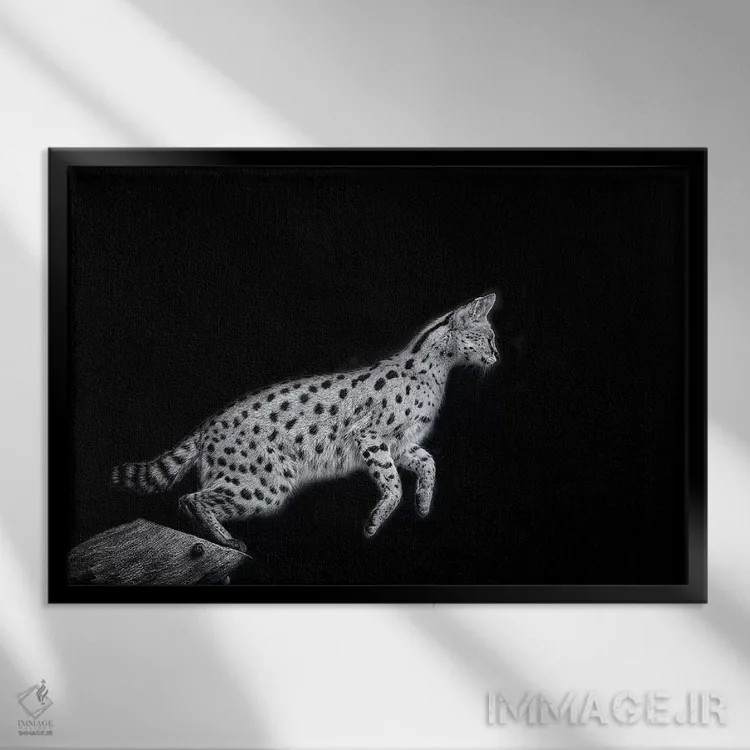 تابلو نانکی در سیاه و سفید اثر دیوید وولَن - نمای قابدار مشکی