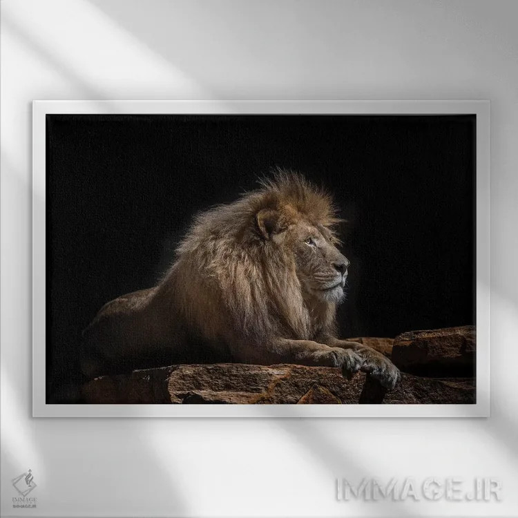 تابلو لازاروس (اسم خاص) اثر دیوید وولَن - نمای قابدار سفید