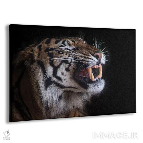 تابلو دندانهای زیبا اثر دیوید وولَن - نمای پرسپکتیو محصول