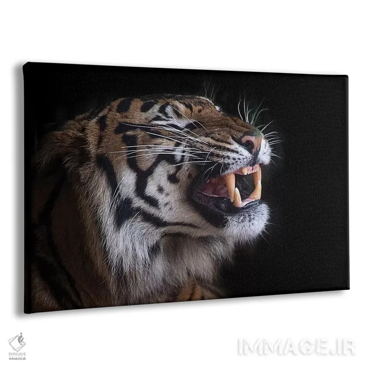 تابلو دندانهای زیبا اثر دیوید وولَن - نمای پرسپکتیو محصول