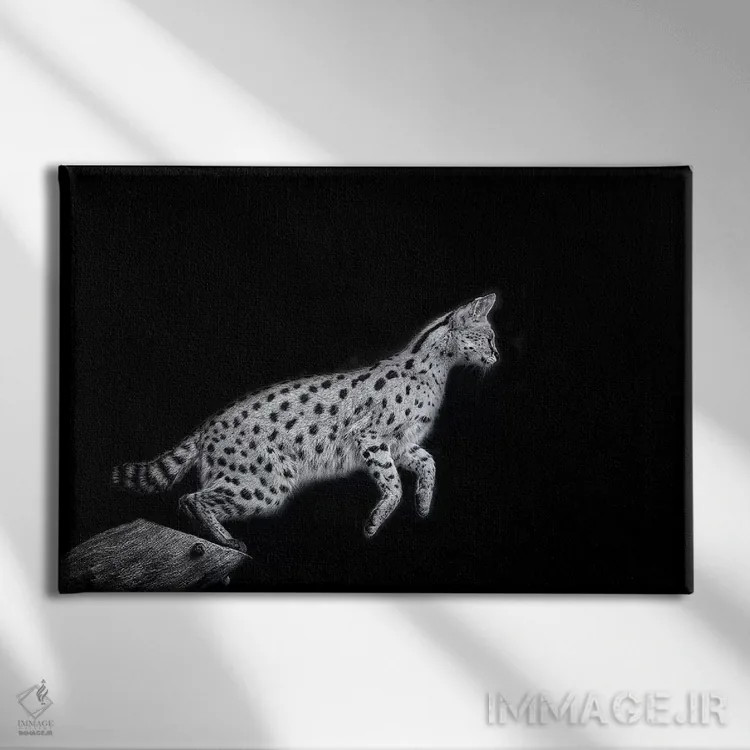 تابلو نانکی در سیاه و سفید اثر دیوید وولَن - نمای روبهرو روی دیوار