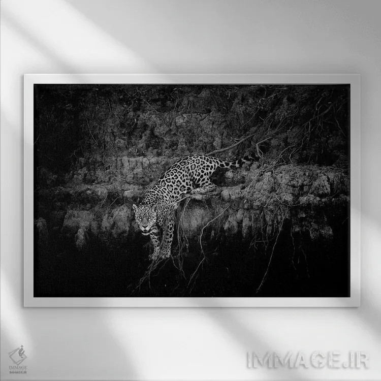 تابلو جاگوار بر صخره اثر دیوید وولَن - نمای قابدار سفید