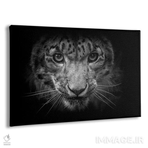 تابلو پلنگ برفی در سیاه و سفید اثر دیوید وولَن - نمای پرسپکتیو محصول