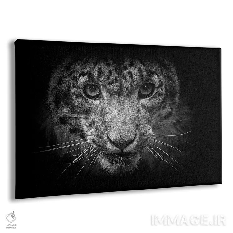 تابلو پلنگ برفی در سیاه و سفید اثر دیوید وولَن - نمای پرسپکتیو محصول