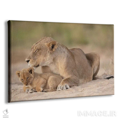 تابلو امنیت اثر دیوید وولَن - نمای پرسپکتیو محصول