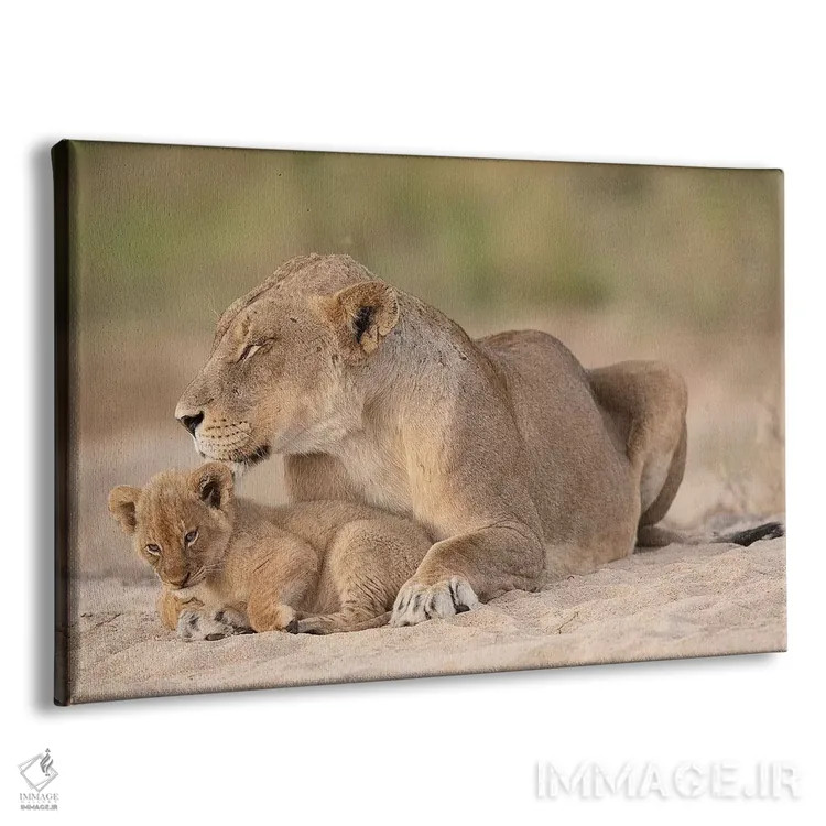 تابلو امنیت اثر دیوید وولَن - نمای پرسپکتیو محصول