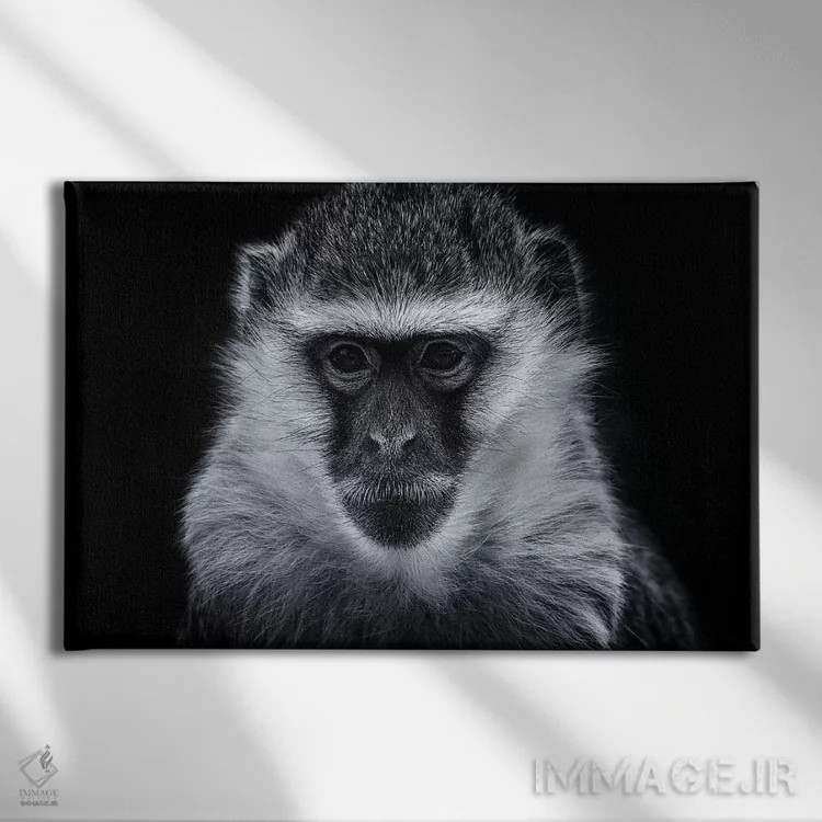 تابلو میمون وروت اثر دیوید وولَن - نمای روبهرو روی دیوار
