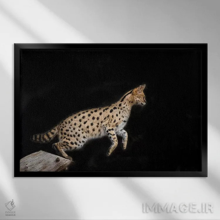 تابلو نانکی رنگی اثر دیوید وولَن - نمای قابدار مشکی