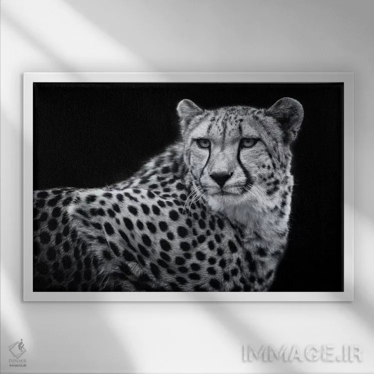 تابلو کولیندا در سیاه و سفید اثر دیوید وولَن - نمای قابدار سفید