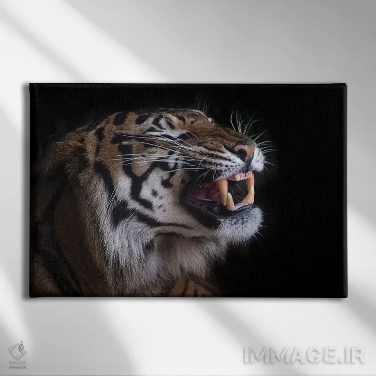 تابلو دندانهای زیبا اثر دیوید وولَن - نمای روبهرو روی دیوار