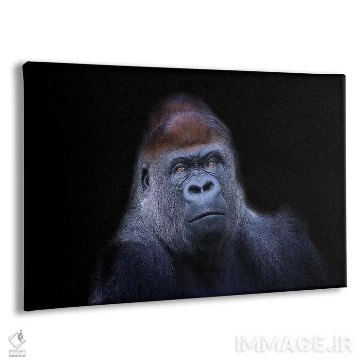 تابلو گوریل دشتهای غربی اثر دیوید وولَن - نمای پرسپکتیو محصول