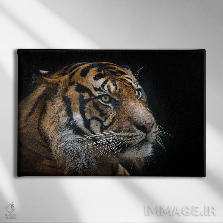 تابلو ببر سوماترایی اثر دیوید وولَن - نمای روبهرو روی دیوار