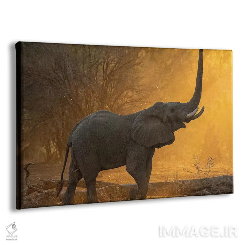 تابلو آزمایش ارتفاع اثر دیوید وولَن - نمای پرسپکتیو محصول