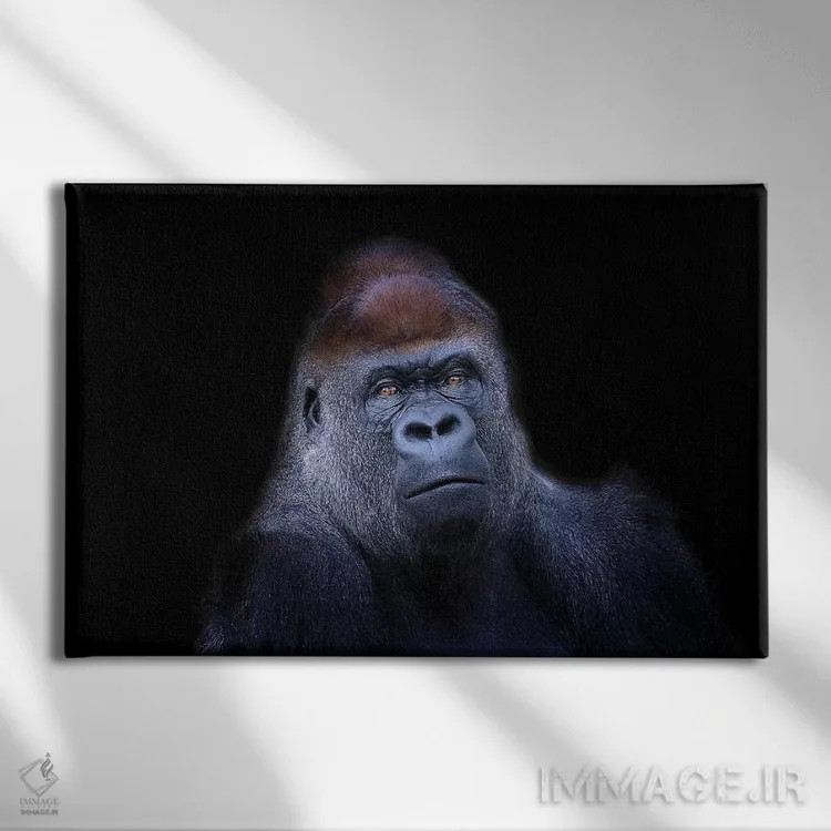 تابلو گوریل دشتهای غربی اثر دیوید وولَن - نمای روبهرو روی دیوار