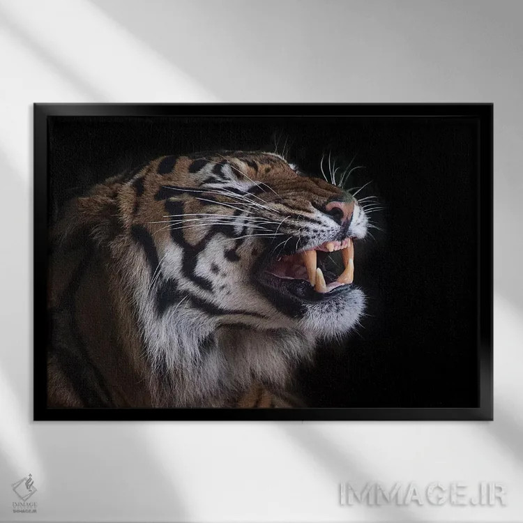 تابلو دندانهای زیبا اثر دیوید وولَن - نمای قابدار مشکی